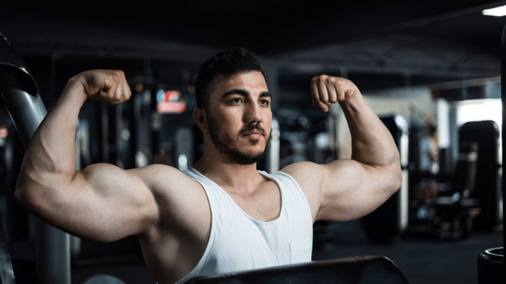 how to get bigger arms at home